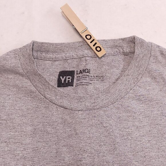 Young And Reckless Graphic Short Sleeve T Shirt Adult Mens Size Large L Gray Red - Picture 3 of 8